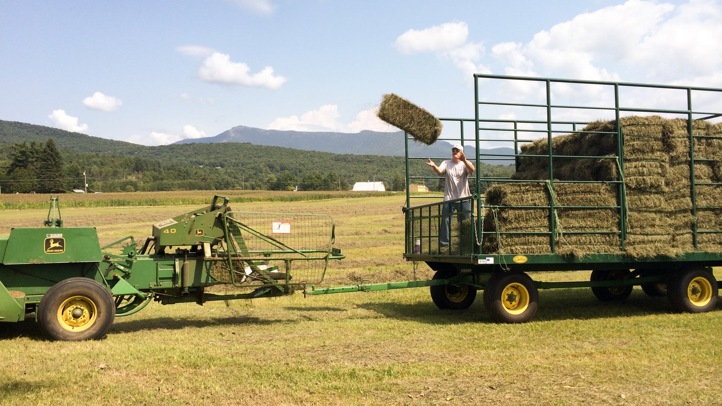 Orchard Bin - Farmer Series - 36″ x 36″ x 36″